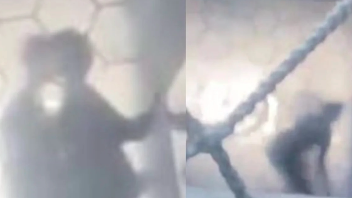 Casal de alunos é flagrado fazendo sexo dentro de universidade