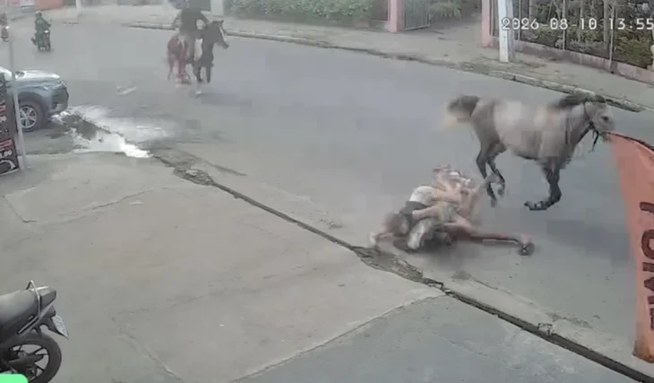 Cavalo escorrega e arremessa casal contra calçada em Arapiraca