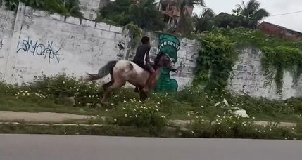 'Eu vou em 60 e ele está em 200': influenciador filma menino disparado a cavalo em via de Maceió