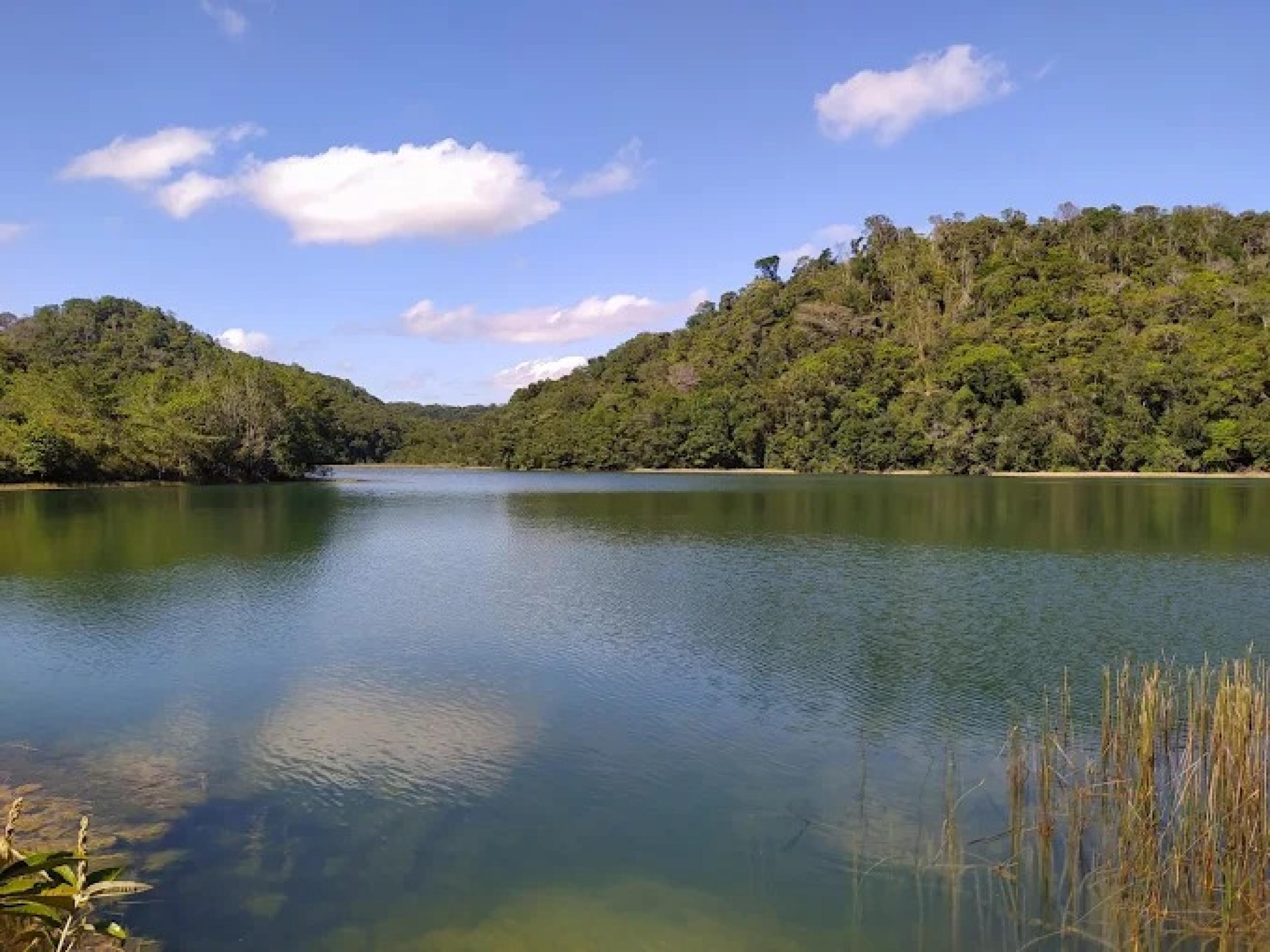 Casal emite alerta após registro de invasões na APA do Catolé