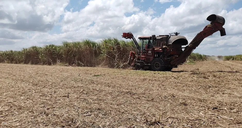 CBIO pode garantir renda extra para 5 mil fornecedores de cana em AL