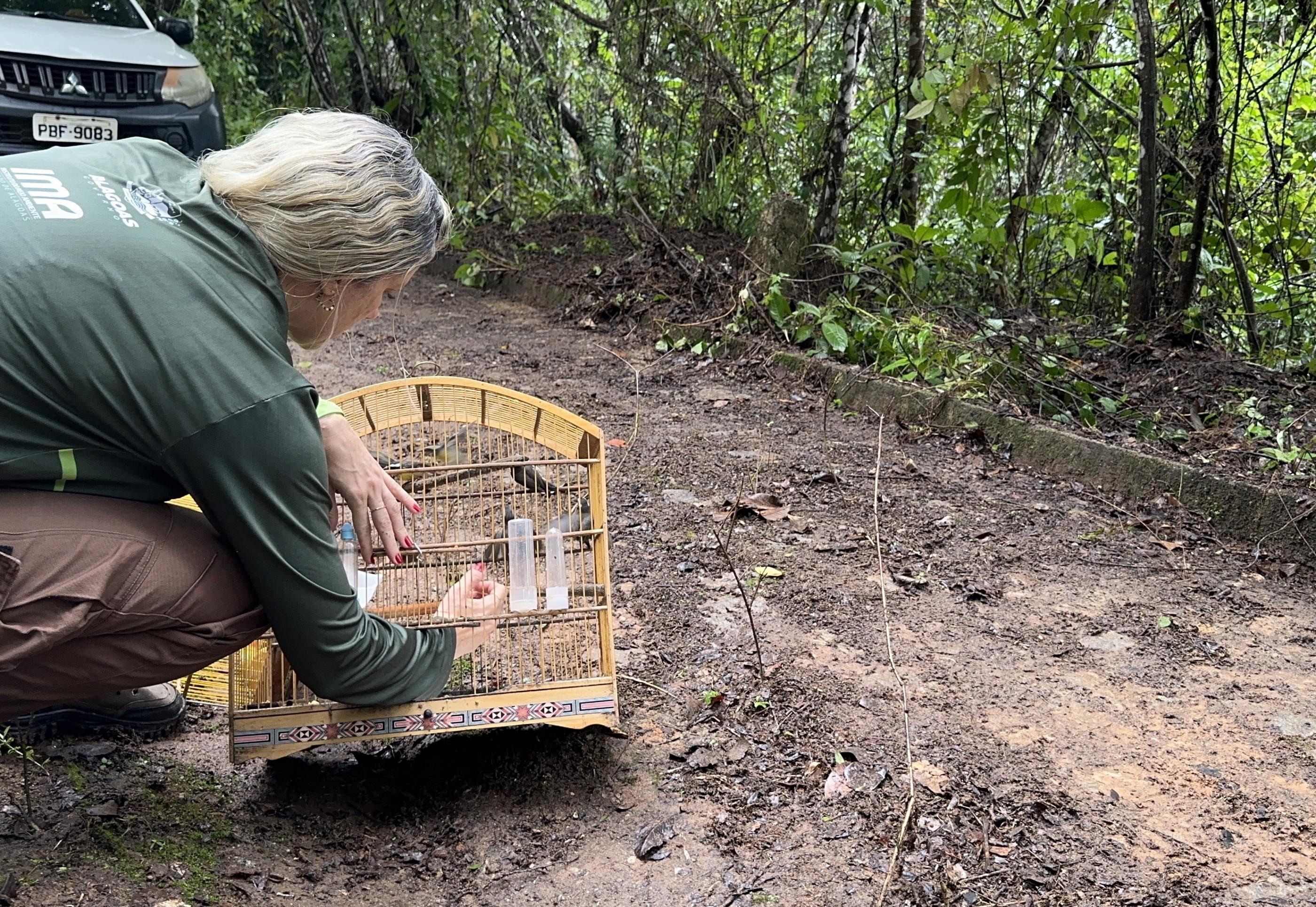 Centro de Triagem devolve 164 animais silvestres à Mata Atlântica em Alagoas