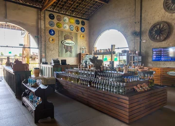 Arapiraca recebe festival que amplia roteiro turístico do interior