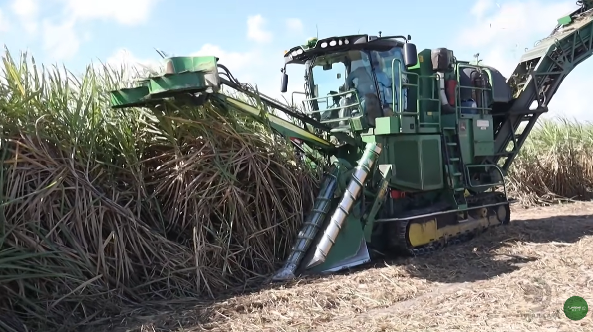 AL Rural: Vídeo sobre Central de Operações em usina ganha destaque nas redes
