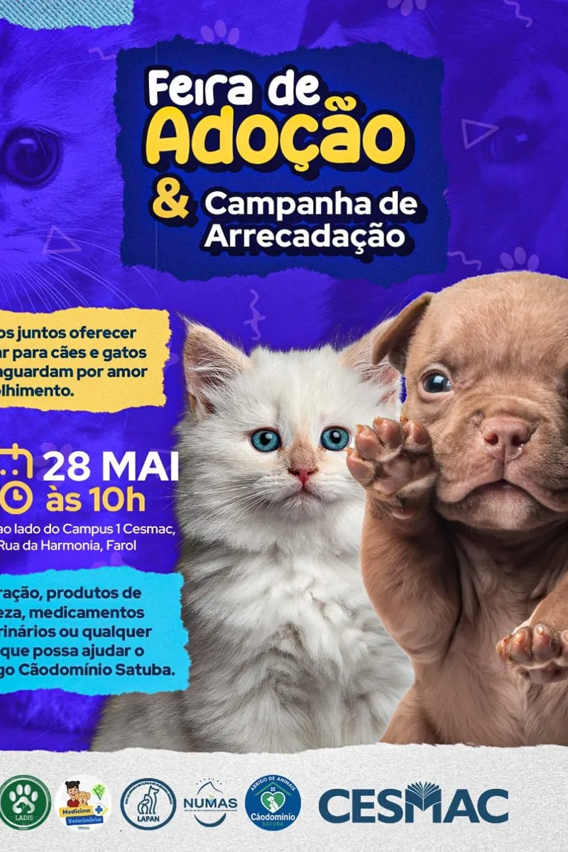 CESMAC promove feira de adoção de cães e gatos em Maceió