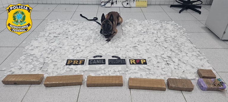 PRF encontra drogas dentro de caixa de som durante ação em Canapi