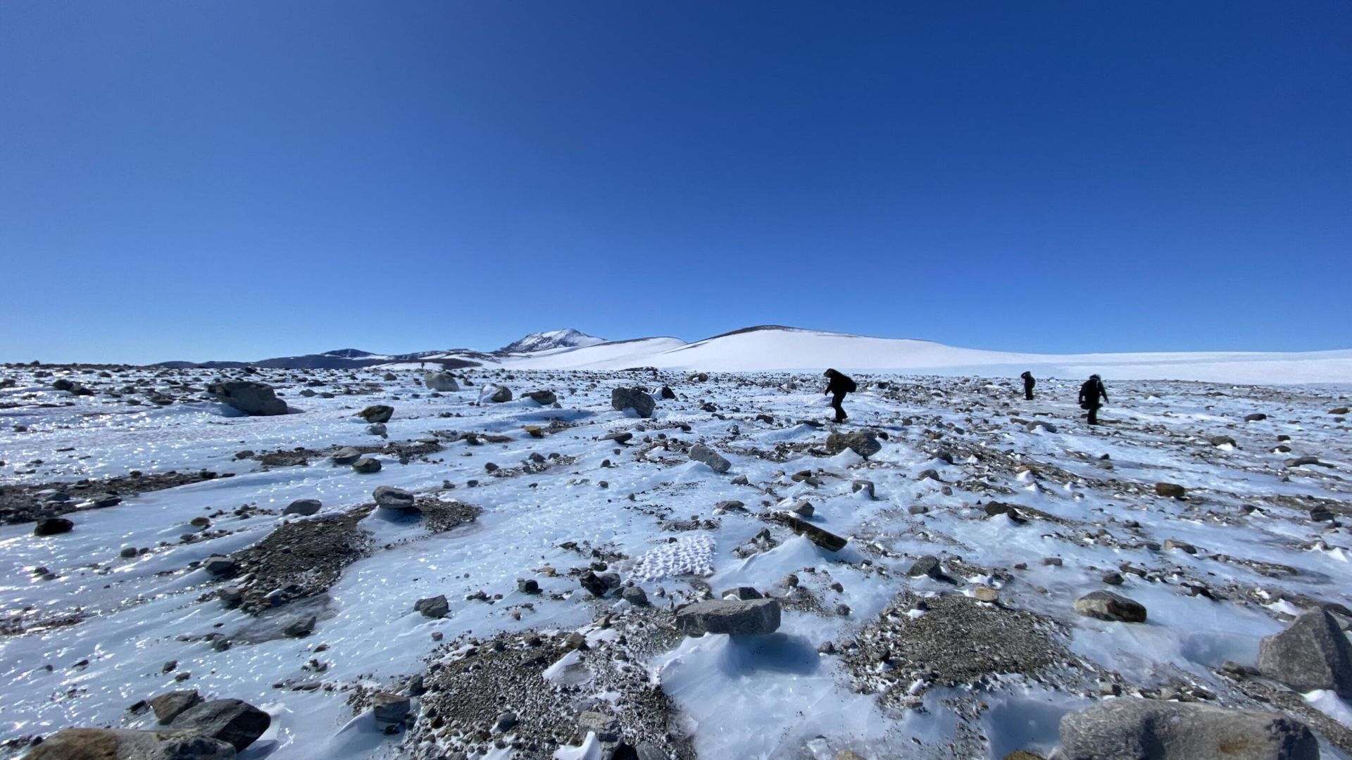 Pegada de mamífero predador de 55 milhões de anos é descoberta na Antártica