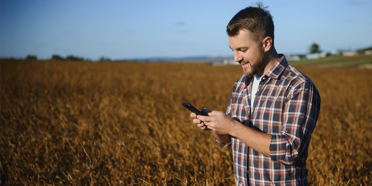 Chatbots ganham força no cooperativismo com soluções para aproximar cooperados