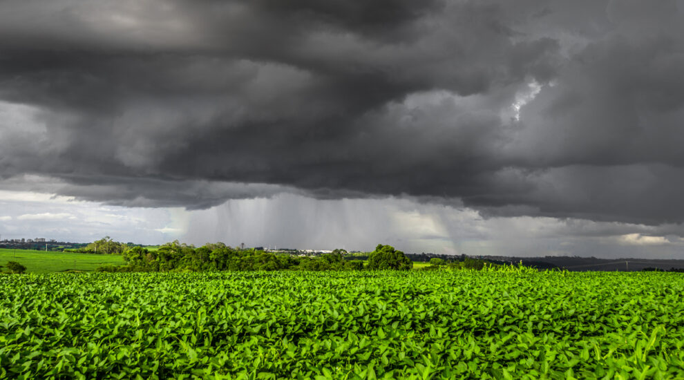 Clima de outono preocupa safra com calor e chuva irregular