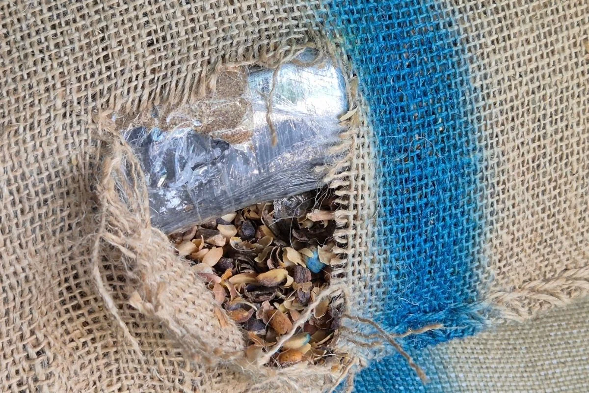 Carga com 77 toneladas de café escondia 366 kg de cocaína no Porto de Santos