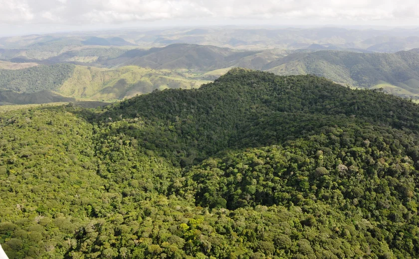 Alagoas reduz desmatamento em 68,4% em 2025
