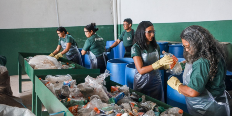 Cooperativas brasileiras têm grandes desafios antes da COP30