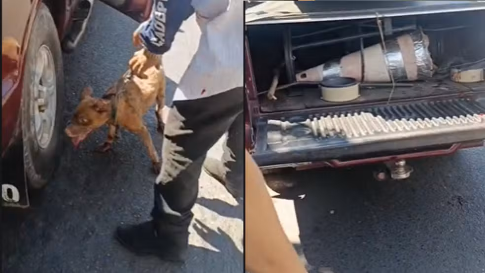 Motorista é preso após ser flagrado arrastando cachorro com caminhonete