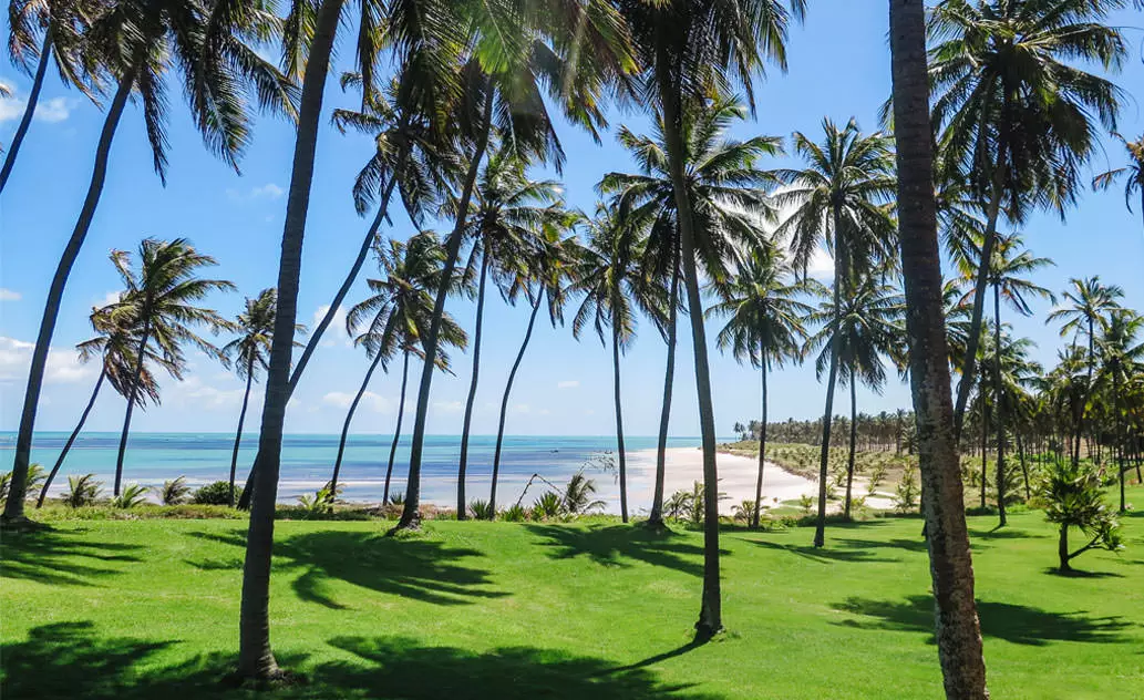 Coruripe entra em guia da Netflix e mira turismo internacional