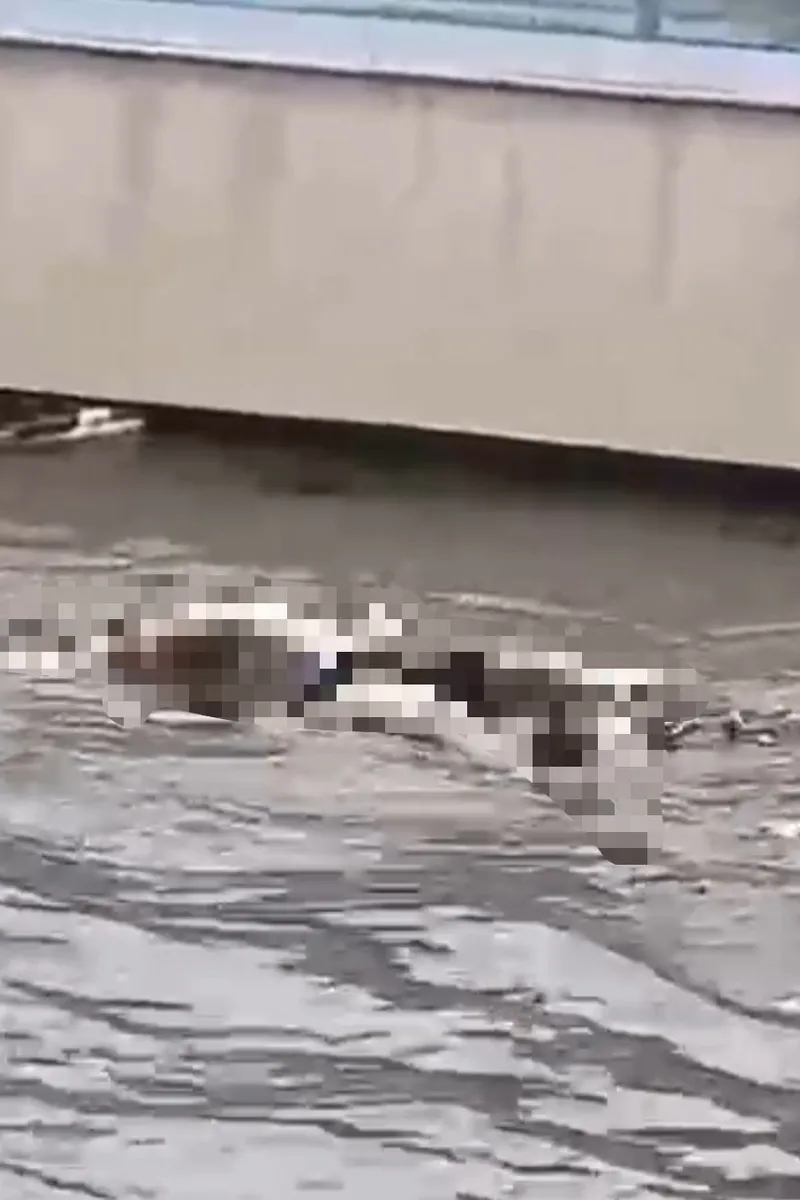 Corpo de homem é encontrado boiando no Riacho Salgadinho, em Maceió