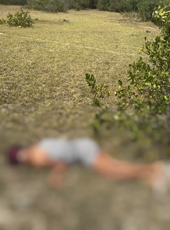 Mulher trans é encontrada morta em área de mata de Coruripe
