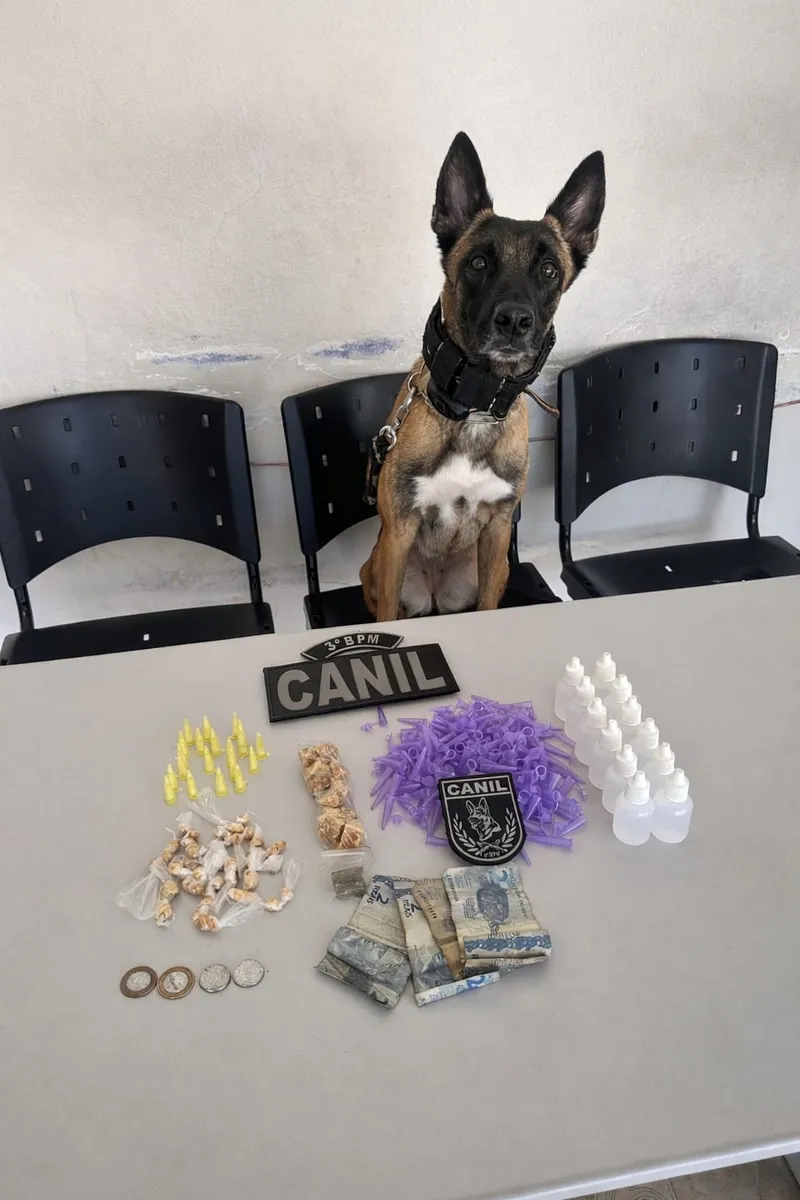 Padrasto é preso após usar enteado de 8 anos como 'aviãozinho'