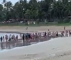 Instituto do Meio Ambiente diz que festa na Praia do Marceneiro também infringiu leis ambientais