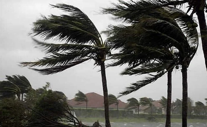 Municípios do interior de Alagoas entram em alerta para ventos fortes