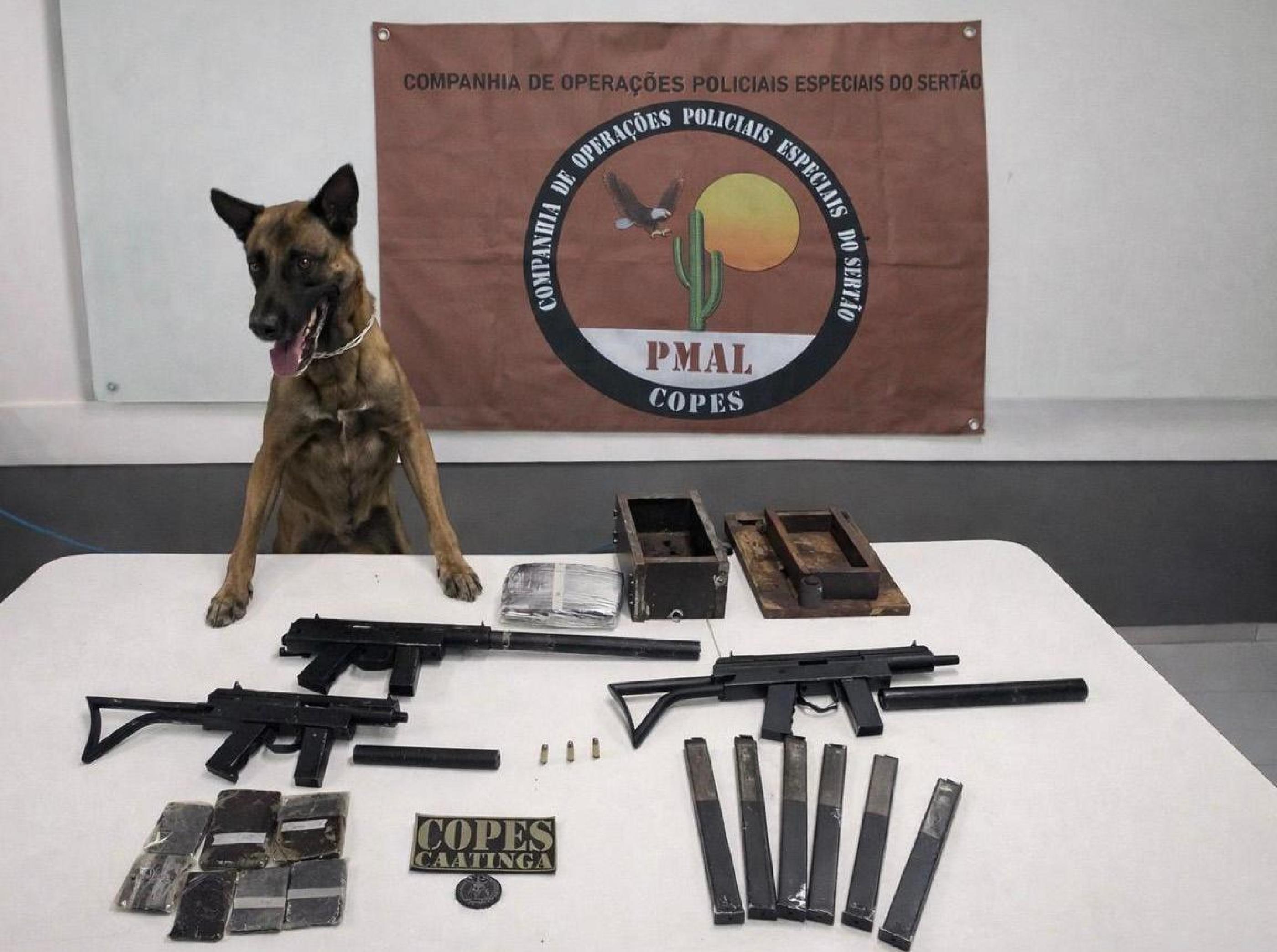 Polícia Militar apreende metralhadoras e quase 2kg de drogas em ônibus na BR-316