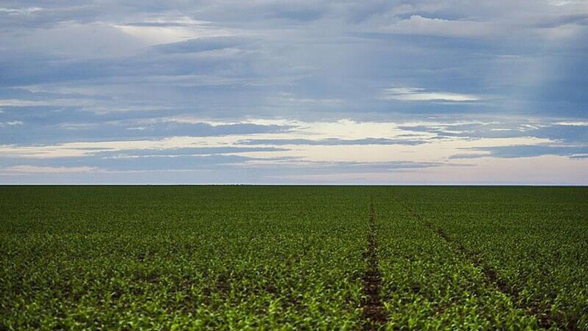 Brasil se torna maior exportador de soja para a China e desbanca EUA
