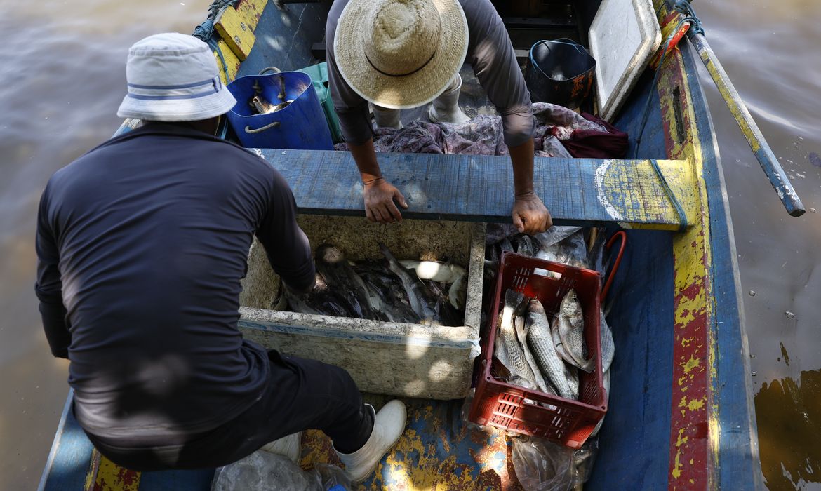 Pescadores beneficiados pelo seguro-defeso recebem 6º lote nesta terça-feira