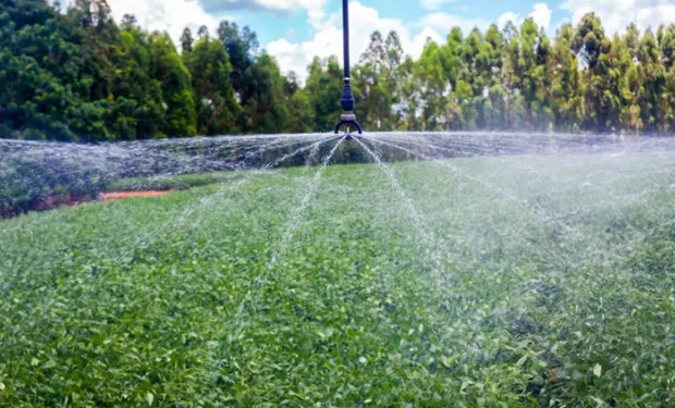 CNA reage a proposta do governo e pede que produtor mantenha escolha do horário do desconto na energia