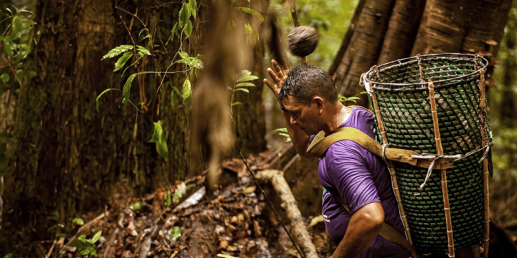 Modelo cooperativo mostra como crescer preservando a biodiversidade