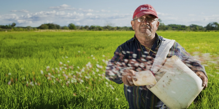 Cooperativas fortalecem o acesso ao seguro rural no Brasil