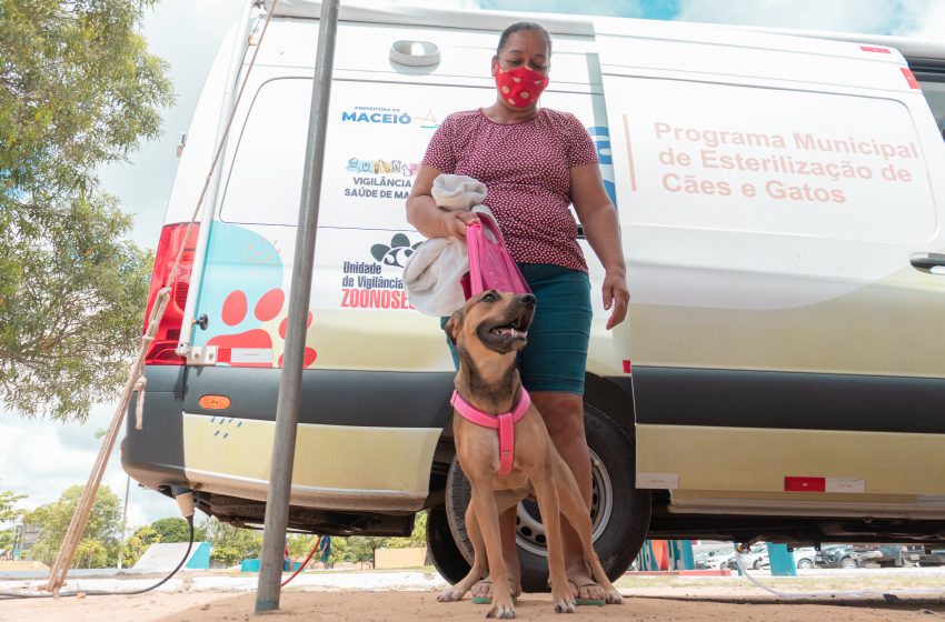 Gabinete da Causa Animal levará 'Castramóvel' nesta terça (15) para Ipioca