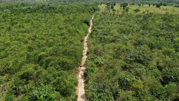Desmatamento cai ao menor nível da história na Amazônia e no Cerrado
