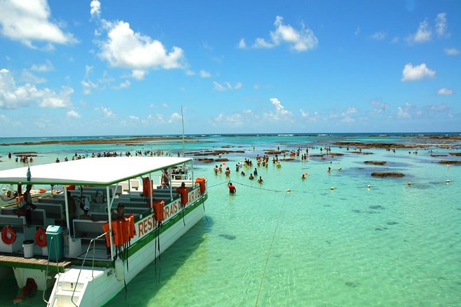 Maragogi revela piscinas naturais e experiências únicas no litoral de Alagoas