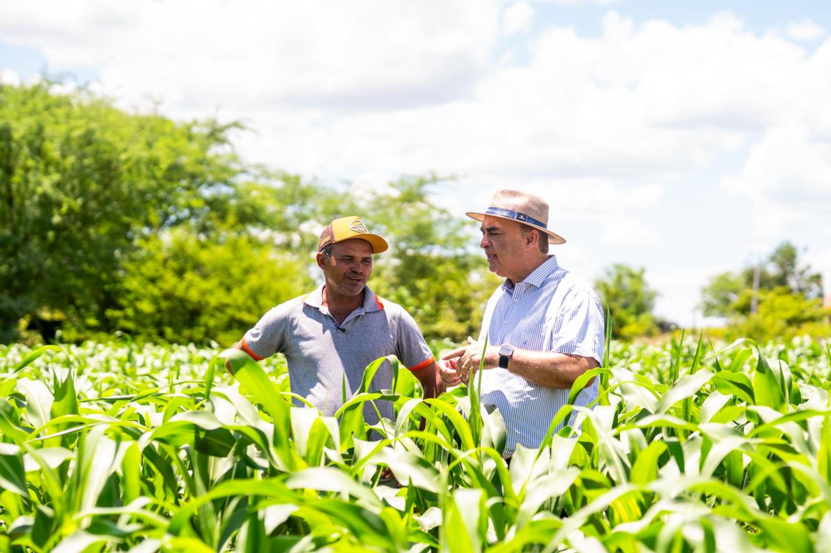 Agricultura familiar é foco de ações da Seagri no sertão de Alagoas