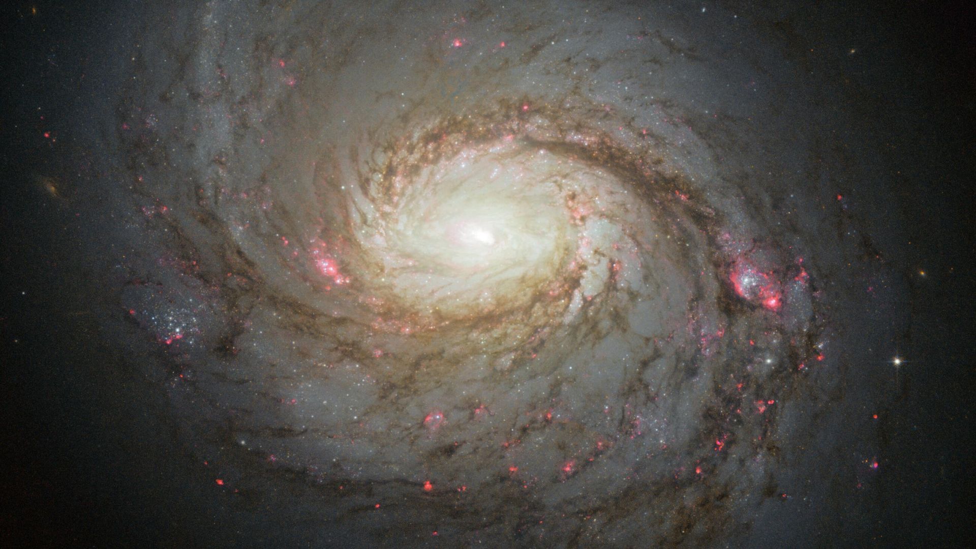 Astrônomos observam e medem tamanho da maior galáxia já conhecida