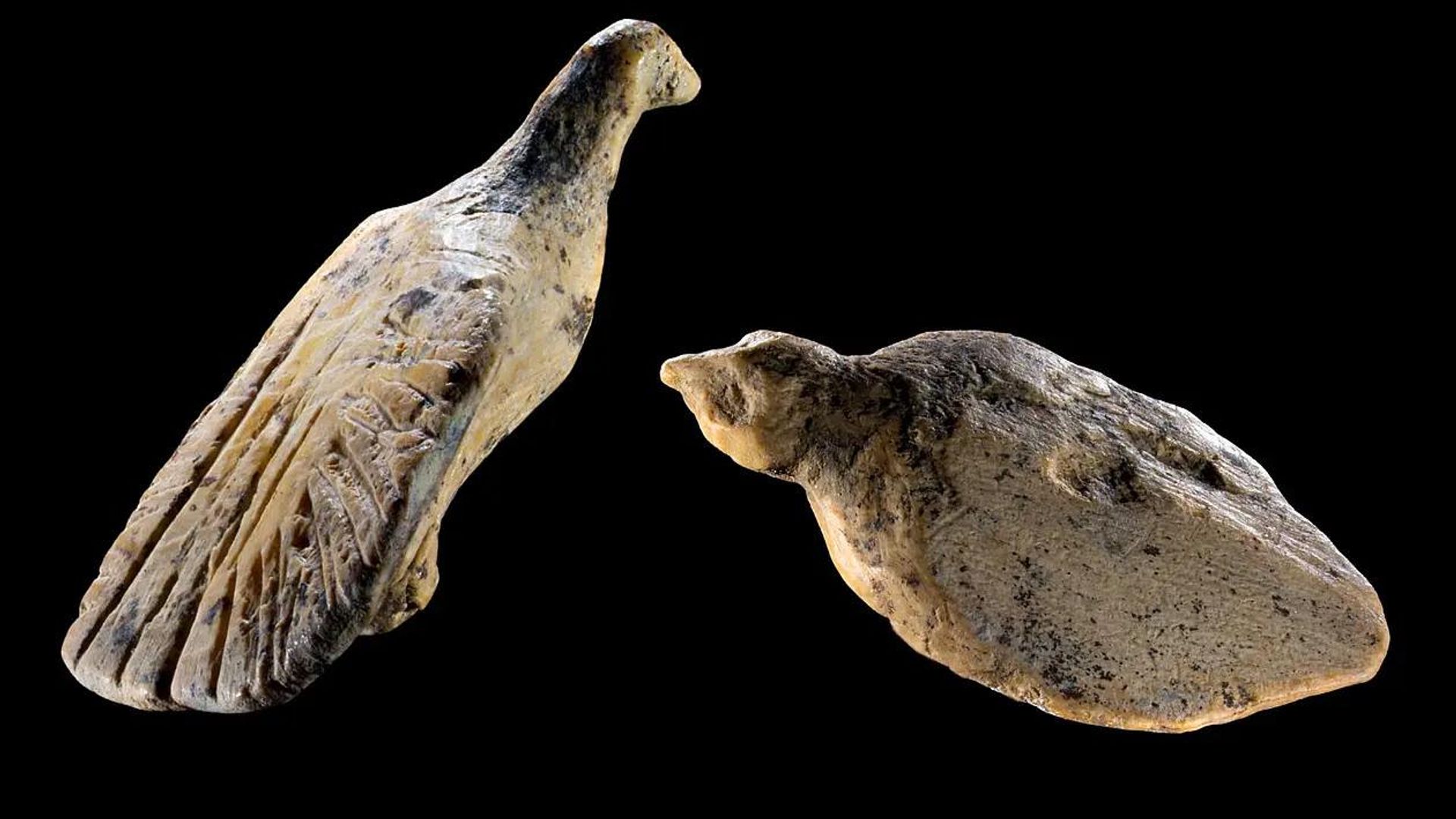 Aves esculpidas em presas de mamute de 40 mil anos são achadas em caverna