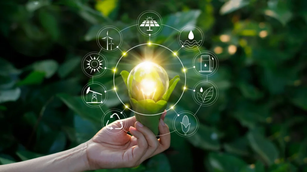 Sistema OCB avança em projeto de eficiência energética com cooperativas