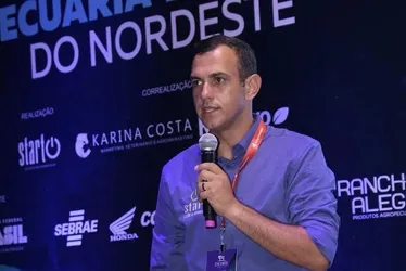 Encorte 2026: arroba sobe 17% em AL e reforça novo ciclo na pecuária