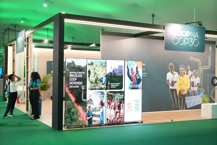 Cinco conquistas do Ano Internacional das Cooperativas