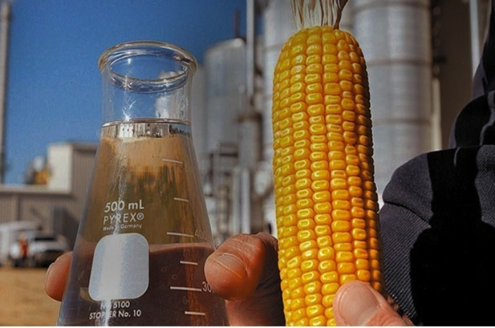 Futuro do agro no Nordeste passa pelos biocombustíveis, com foco no etanol de milho