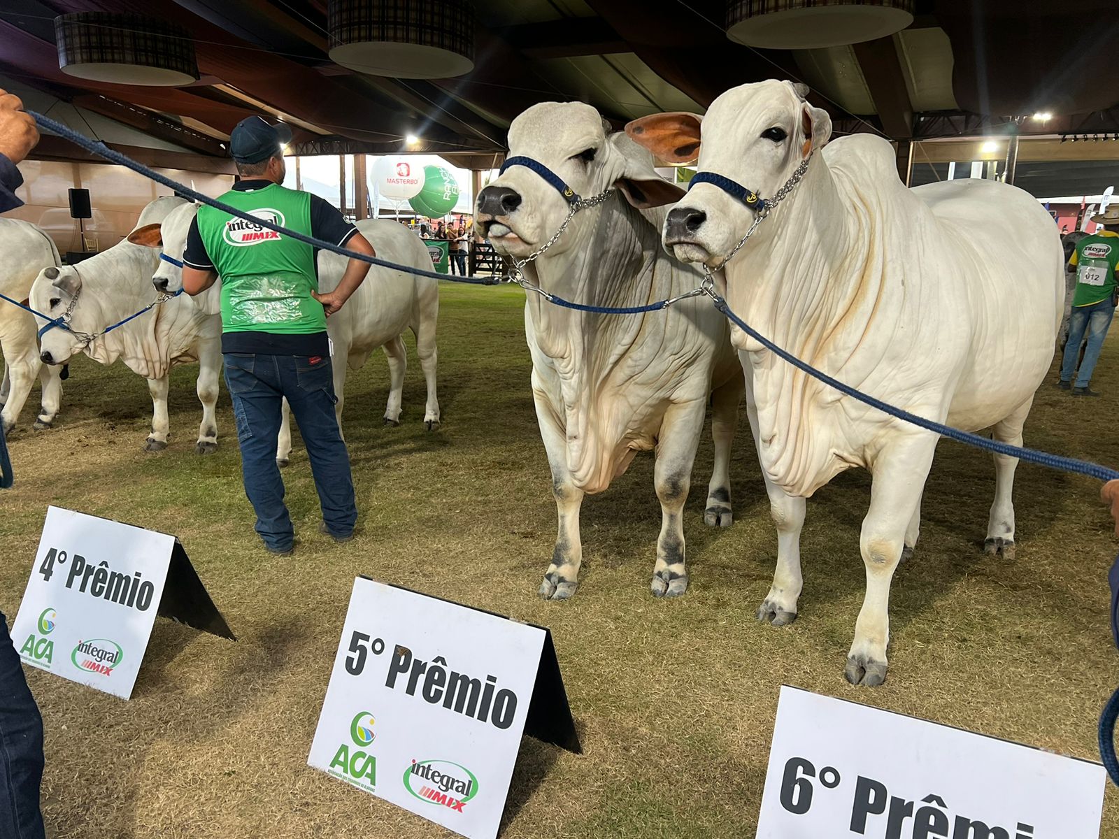 Associação dos Criadores faz balanço positivo da75ª Expoagro-AL