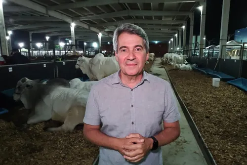 Expoagro abre com novo espaço para leilões no Parque da Pecuária