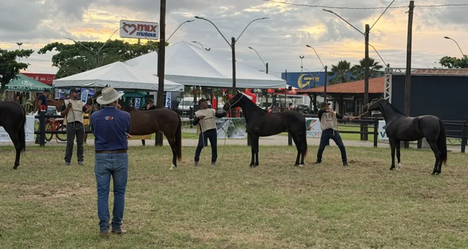 Expoalagoas Genética amplia negócios e reforça força do agro em Alagoas