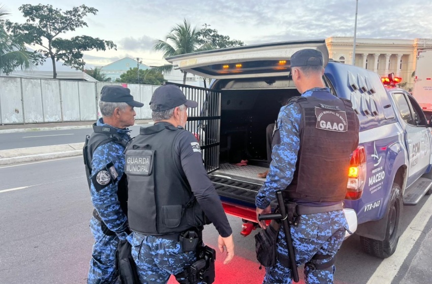 Suspeito de furto de cabos de iluminação no Jaraguá é preso
