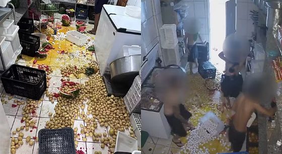 Jovens invadem escola no Paraná e destrói 400 ovos da merenda