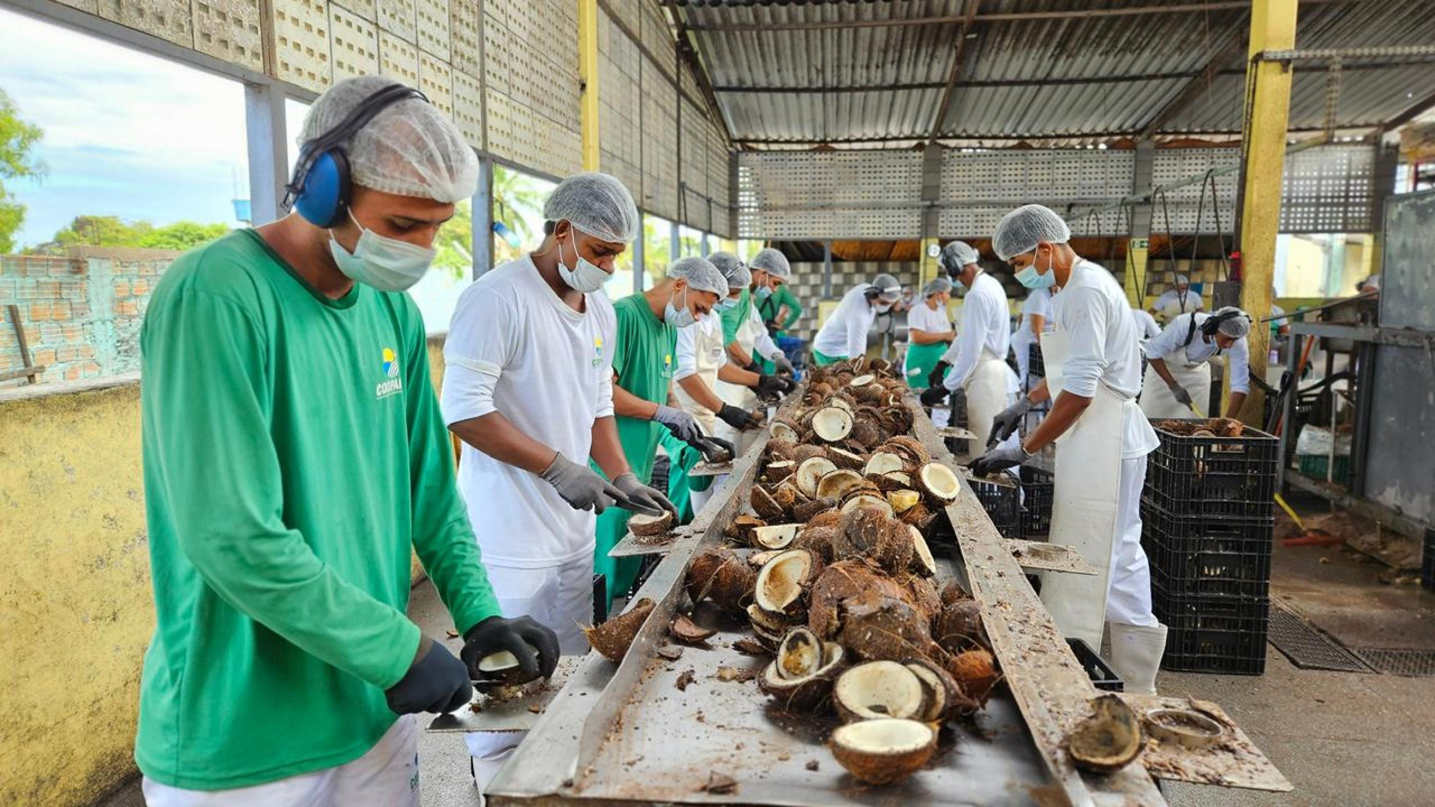 Chamada pública prioriza associações e cooperativas de comunidades tradicionais em AL