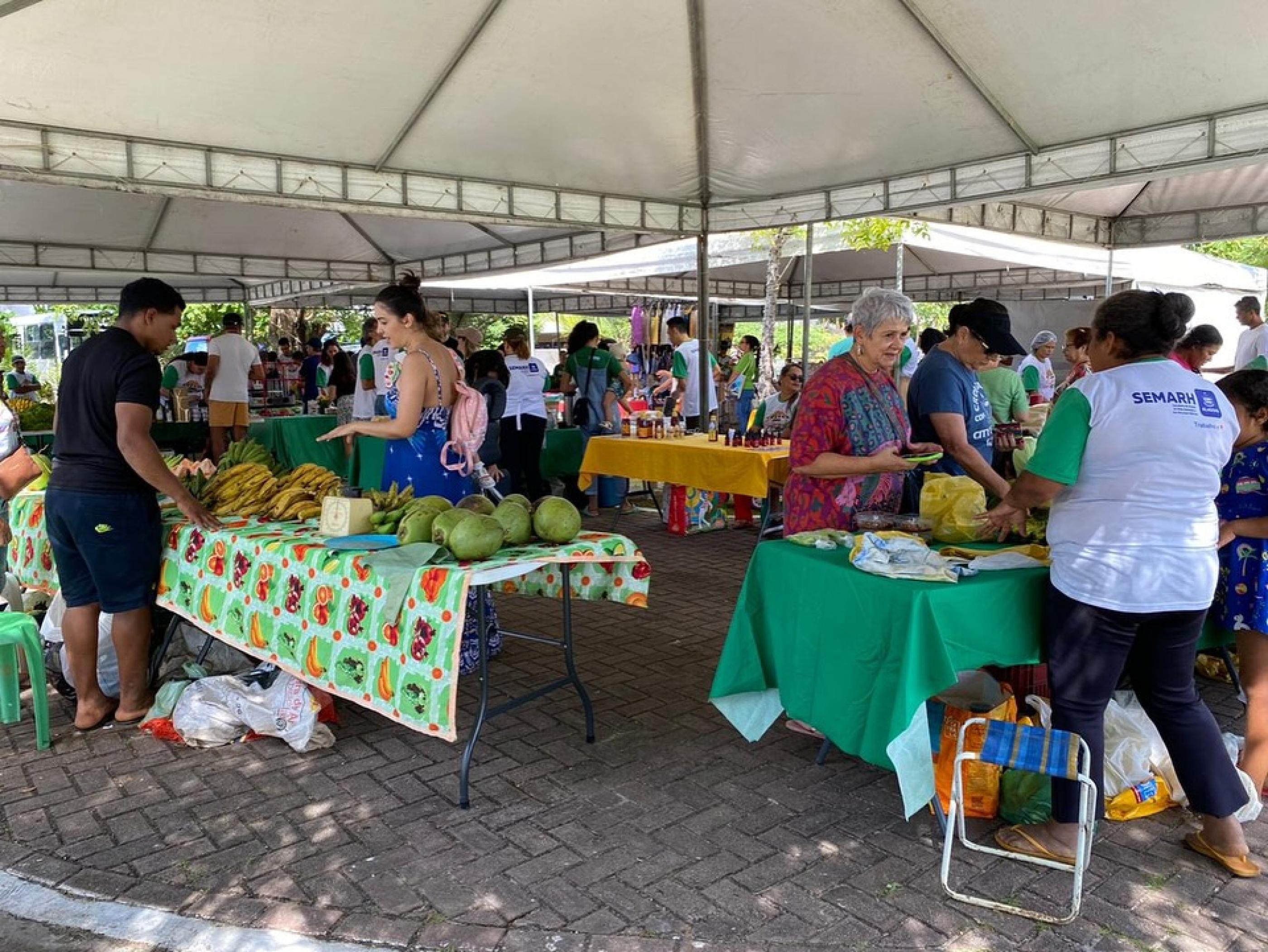 Feira Sustentável retorna neste domingo com produtos da agricultura familiar