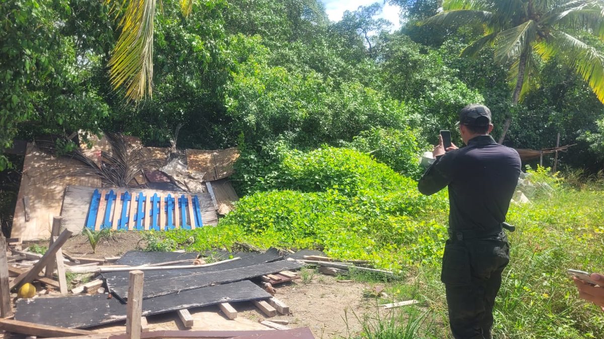 Obra em Porto de Pedras é autuada por descarte irregular de cimento após morte de peixes-boi
