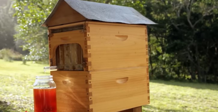 Flow Hive revoluciona apicultura com coleta de mel sem estresse