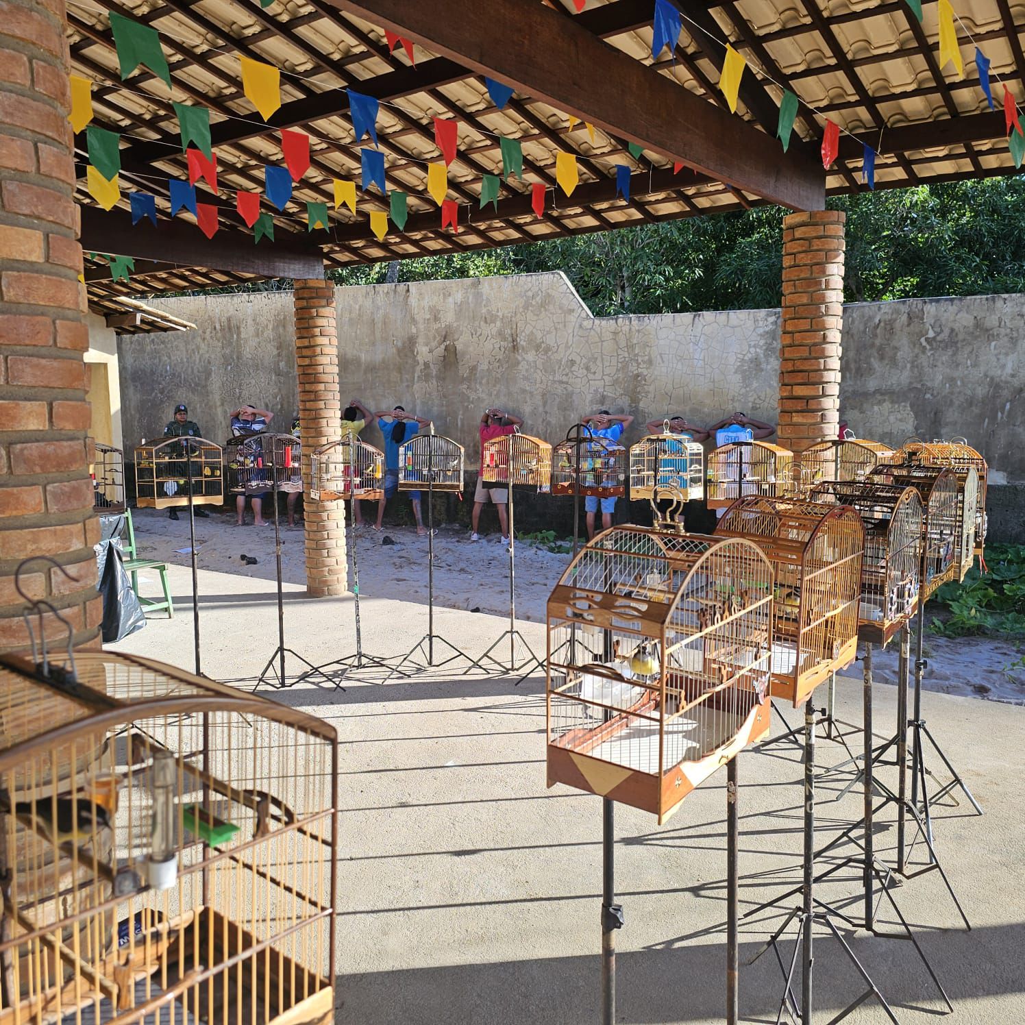 Alagoas registra redução de 47% nos crimes de cativeiro ilegal de animais silvestres em 2025