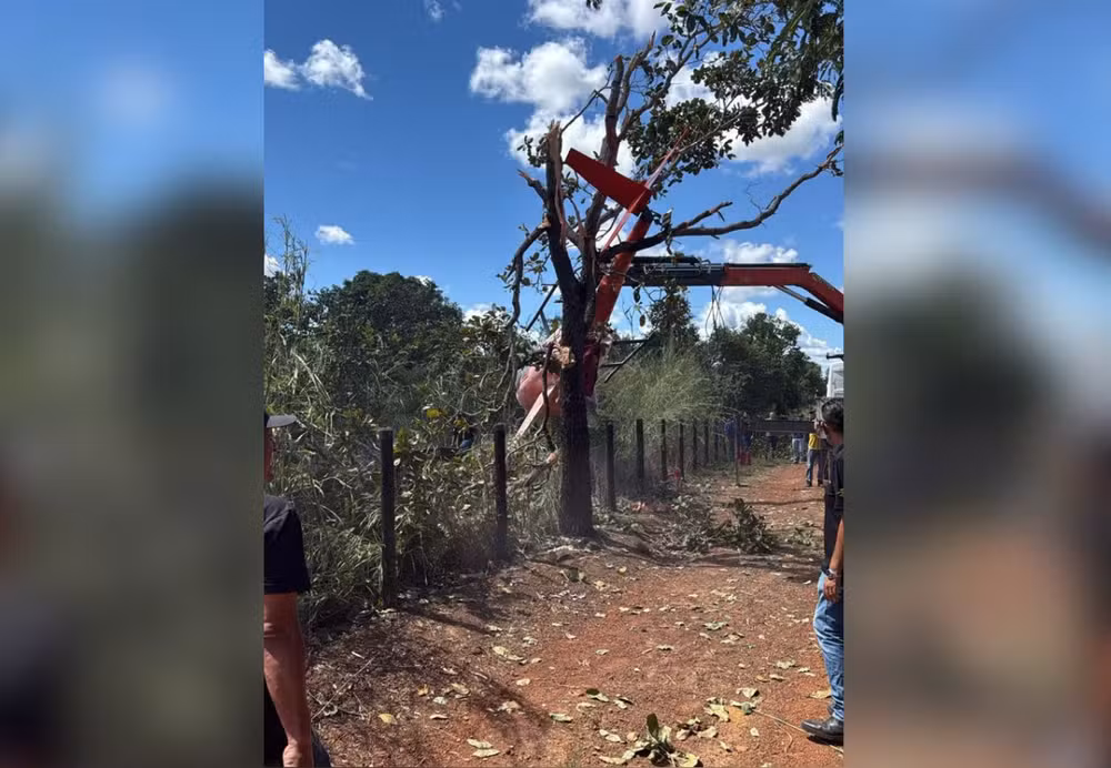 Aeronave da dupla Henrique e Juliano cai em fazenda no Tocantins